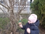 DOKARMIANIE PTAKÓW W OGRODZIE PRZEDSZKOLNYM 14.01.2025
