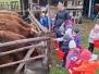 Dzień Chłopaka w Gospodarstwie Agroturystycznym w Lesiowie 30.09.2025