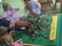 Dzień drzewa 10.10.2025