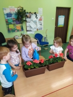 Dzień florysty gr 4