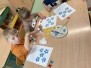 DZIEŃ POLSKIEJ NIEZAPOMINAJKI 15.05.2023