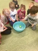 275627072_413317283988002_4320155868497914463_n