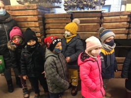 Fabryka bombek gr 5