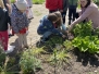 POSZUKIWANIA NIEZAPOMINAJKI 16.05.2023