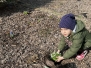 Wiosenne prace w ogrodzie 19.03.2026