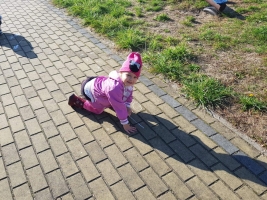 Zabawy w ogrodzie gr II 16.10.
